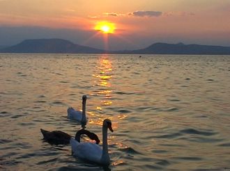 kep-042-web11.jpg